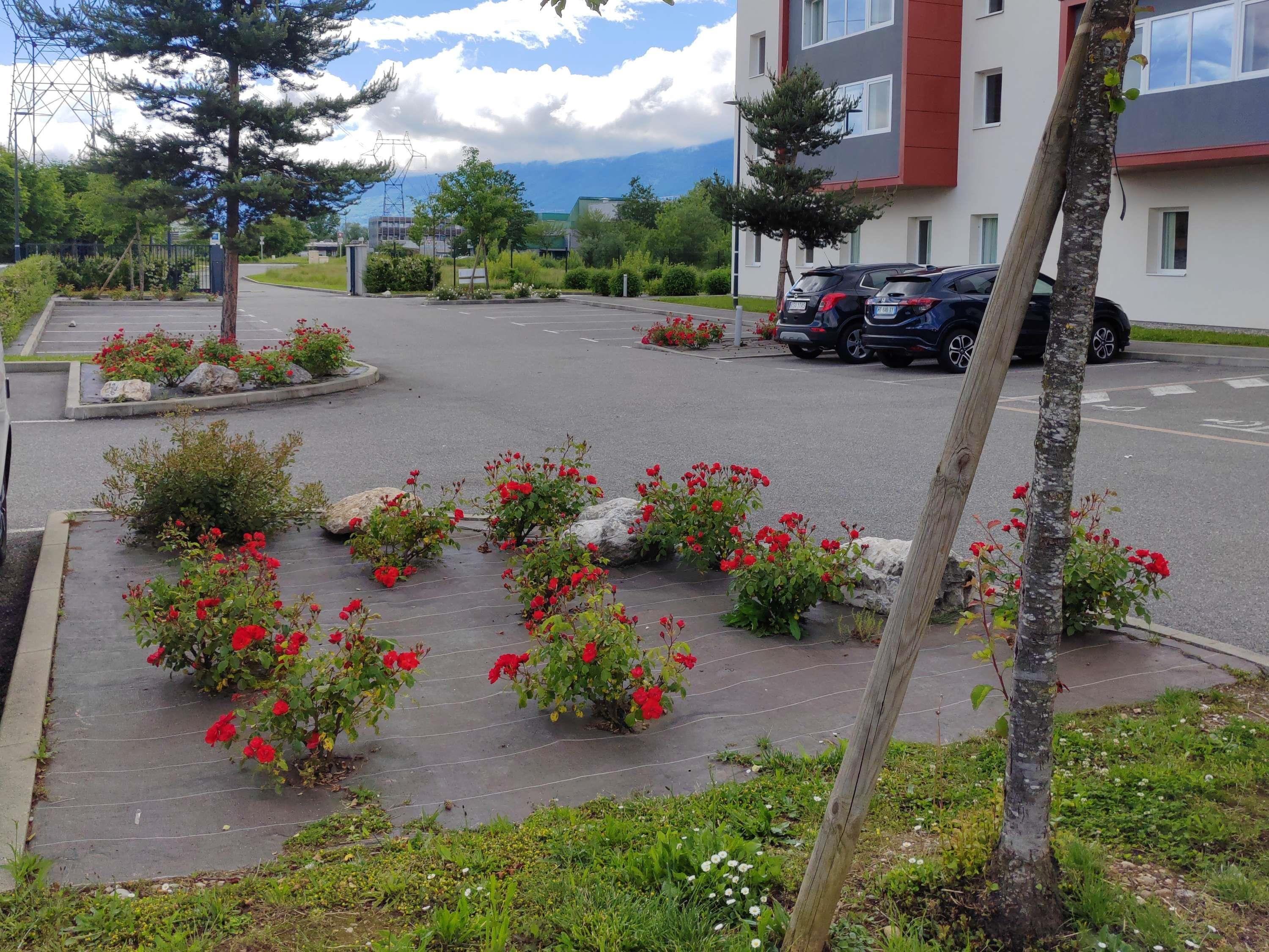 Un estacionamiento con flores rojas y un edificio al fondo.