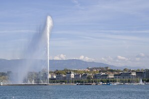 Lake - Ibis Budget Saint Genis Pouilly Geneva (Saint-Genis-Pouilly)