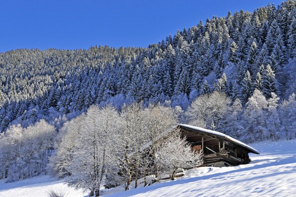 Una cabaña de madera con techo inclinado en un bosque nevado.