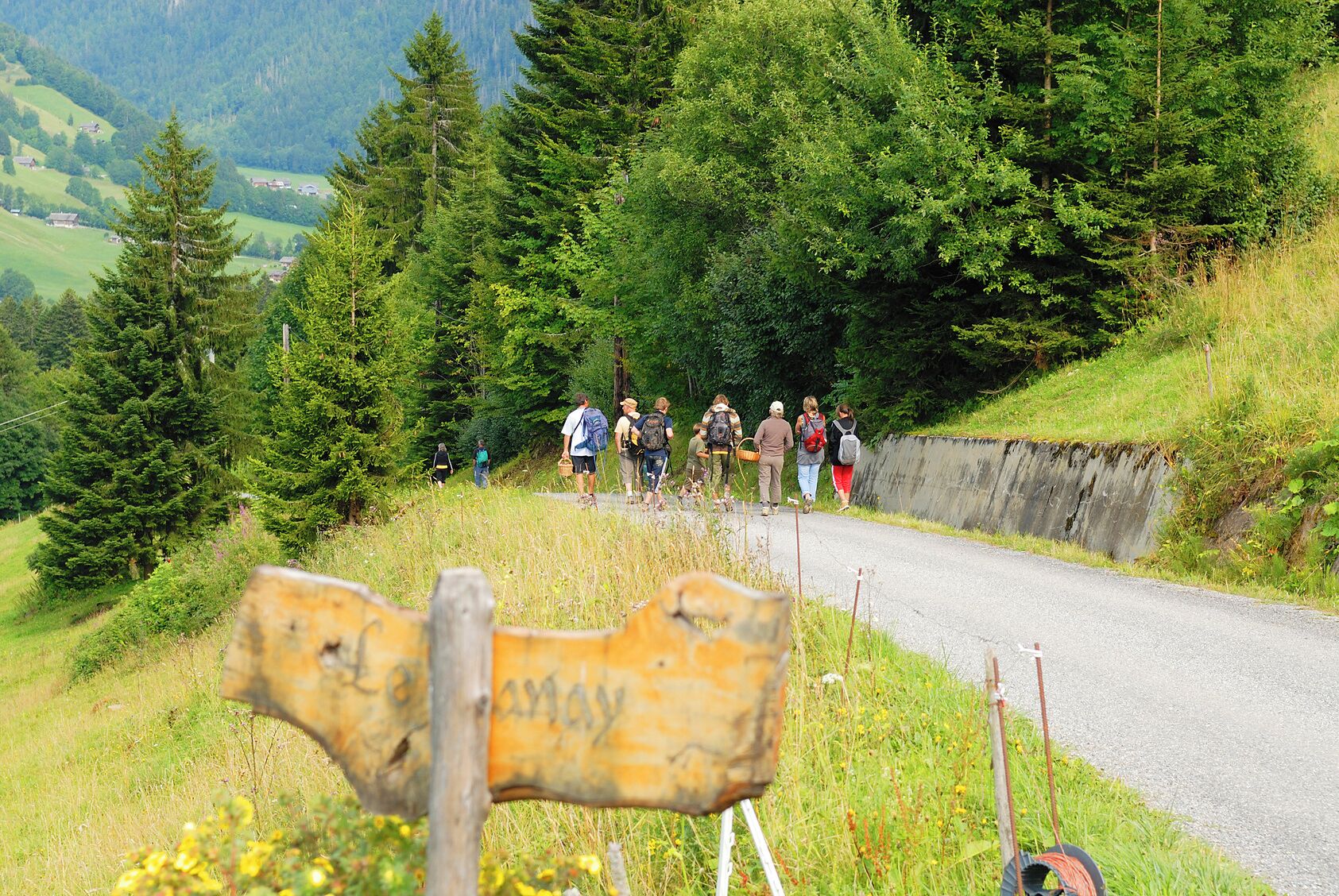 Un grupo de excursionistas en un camino rural rodeado de un bosque denso y colinas.