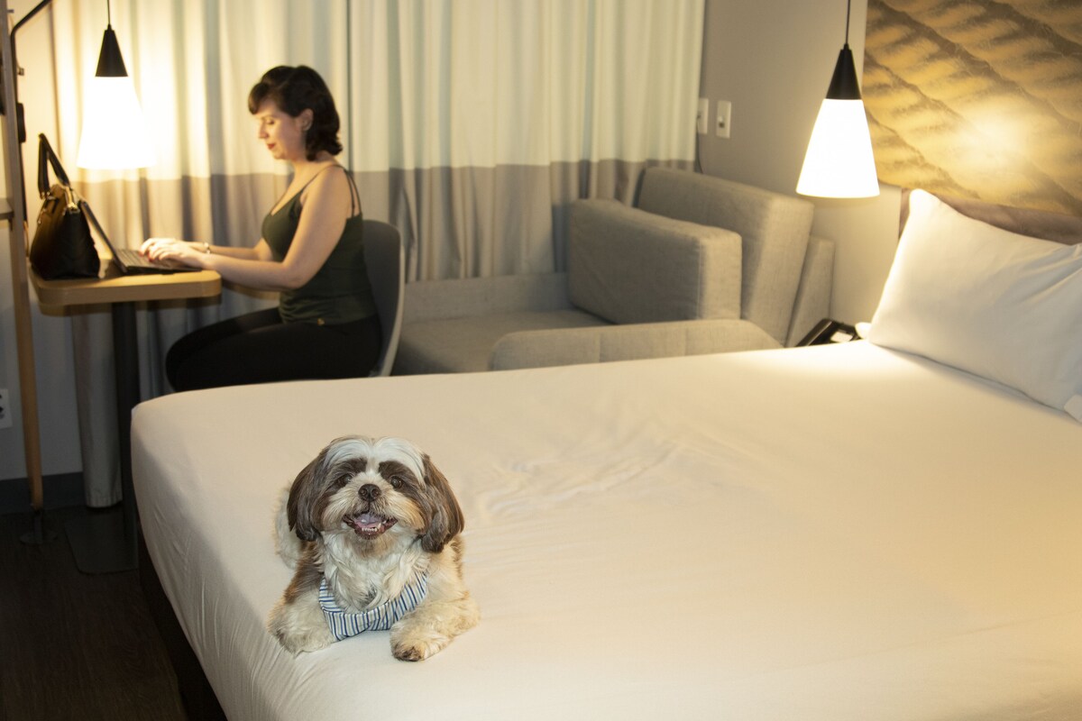 Une chambre d’hôtel avec un lit, un bureau et une chaise.