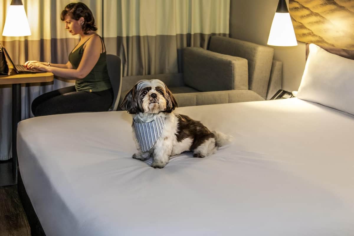 Standard Room, 1 Double Bed with Sofa bed