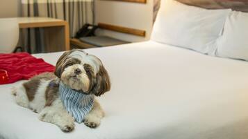 A small dog lying on a bed with white bedding, a red blanket, and a wooden headboard.