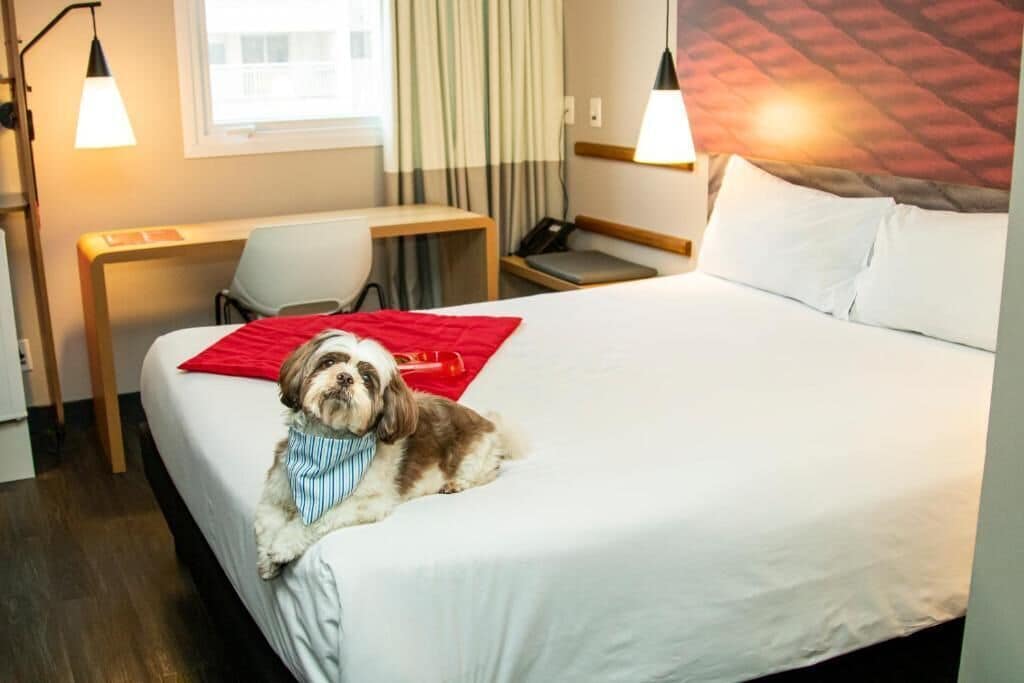 standard room, 1 double bed with sofa bed | view from room