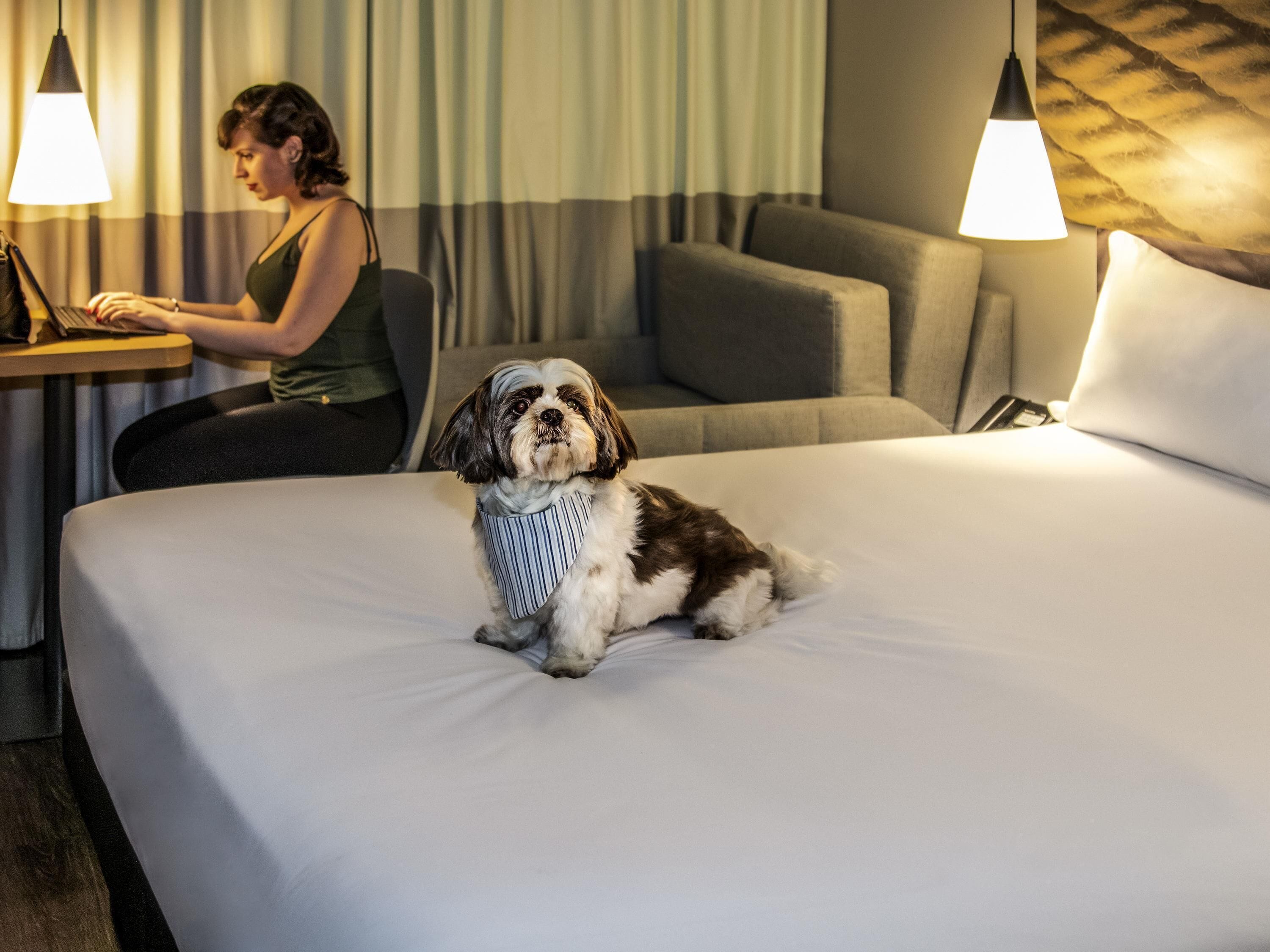 Standaard kamer, 1 tweepersoonsbed met slaapbank | Een minibar, een kluis op de kamer, een bureau, een laptopwerkplek