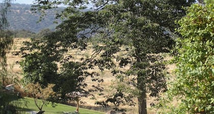 Finca La Favorita - Adults Only