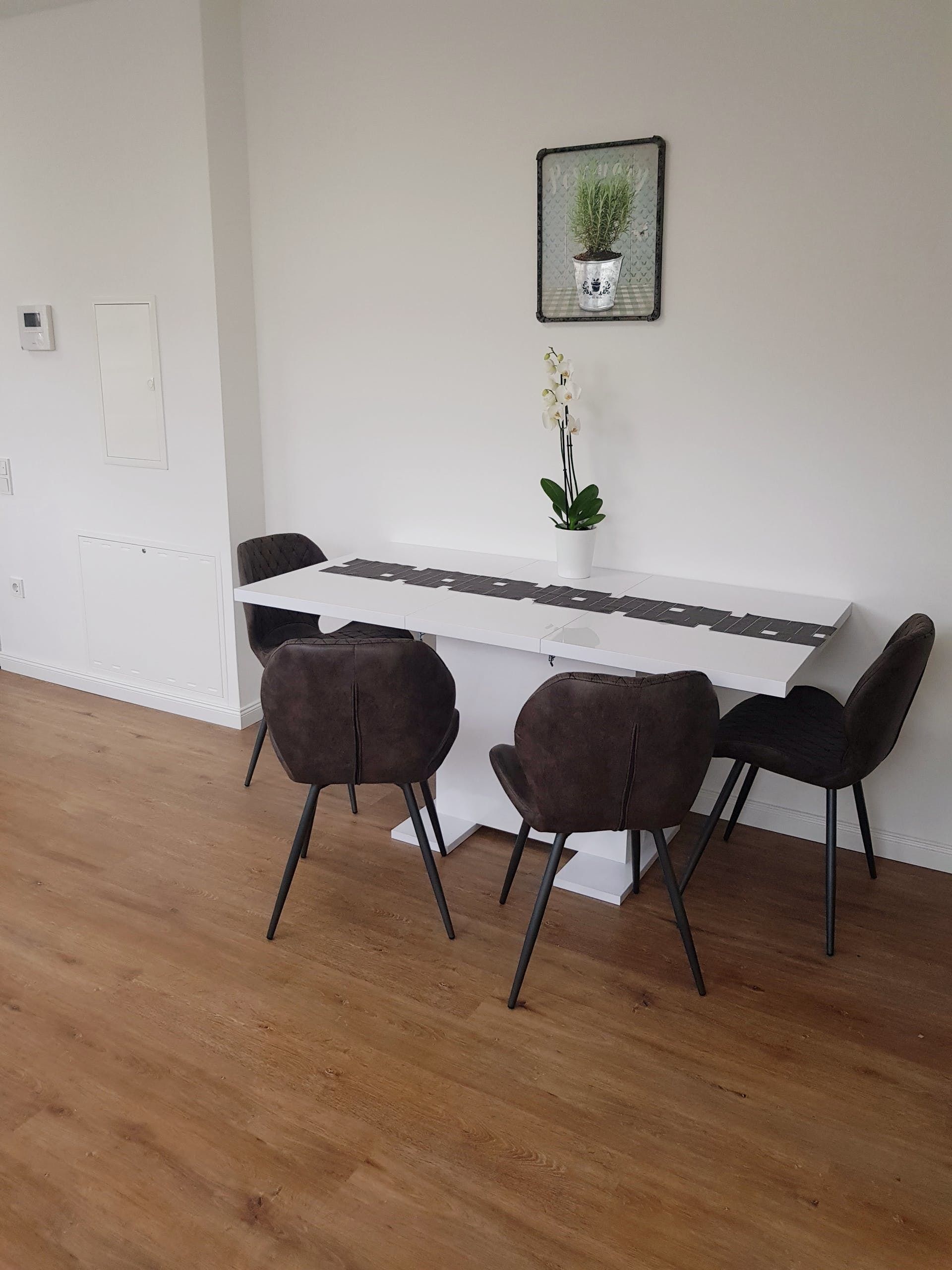 Une pièce moderne avec un bureau blanc, deux chaises sombres, une plante en pot et un tableau encadré au mur.