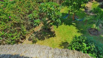 A garden with various plants and a hammock.