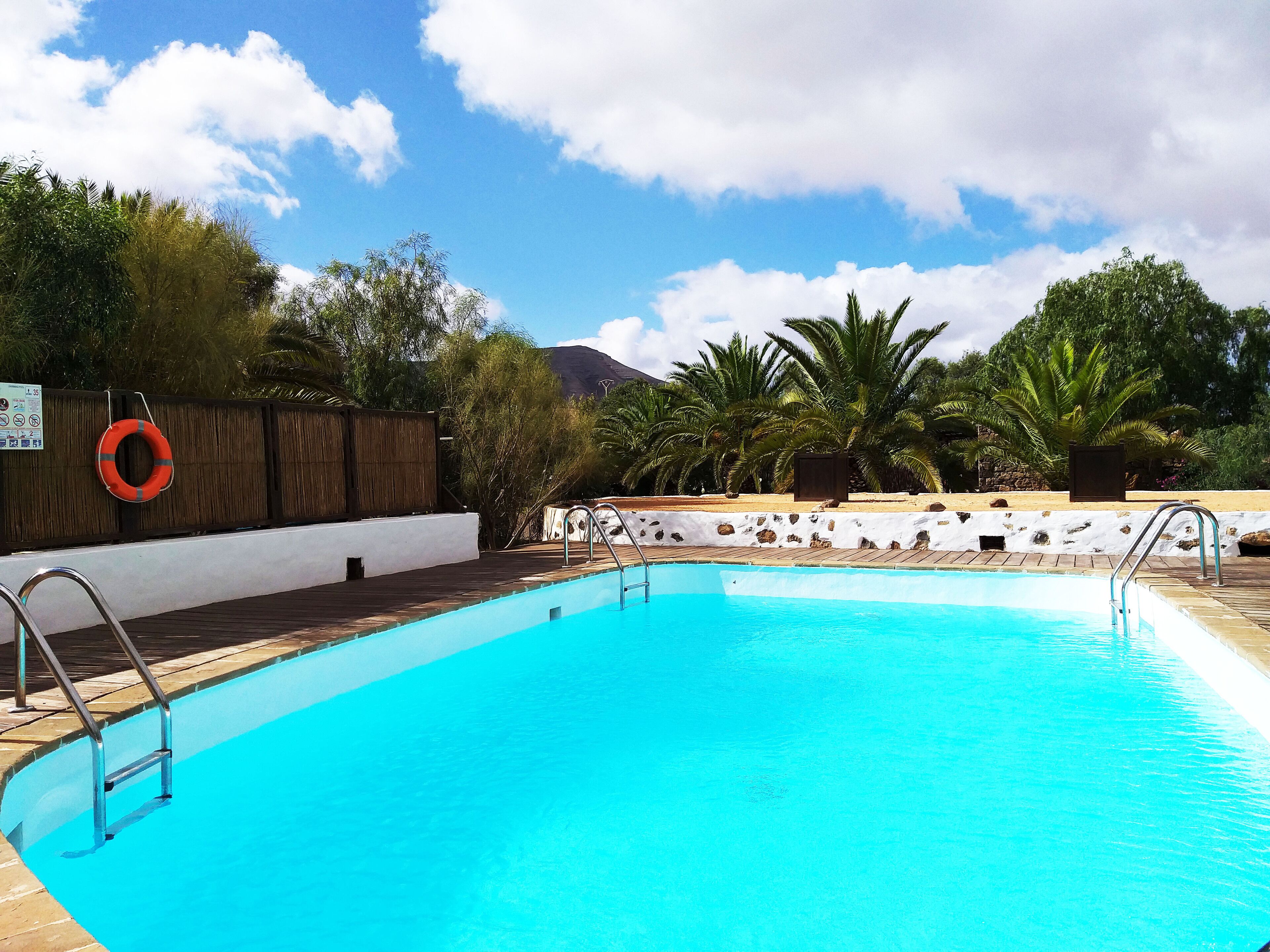 Outdoor pool, open 10:00 AM to 8:00 PM, pool loungers
