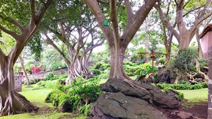 Jardín