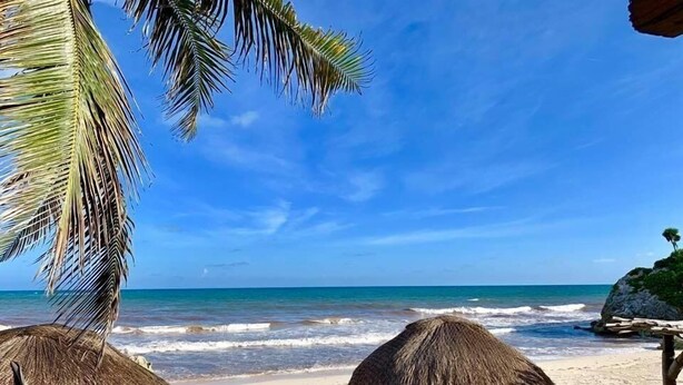 Ein Strand mit reetgedeckten Sonnenschirmen und Liegestühlen, einer Palme und einem Felsvorsprung im Hintergrund.