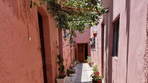 A narrow alleyway with potted plants and a rustic building facade.