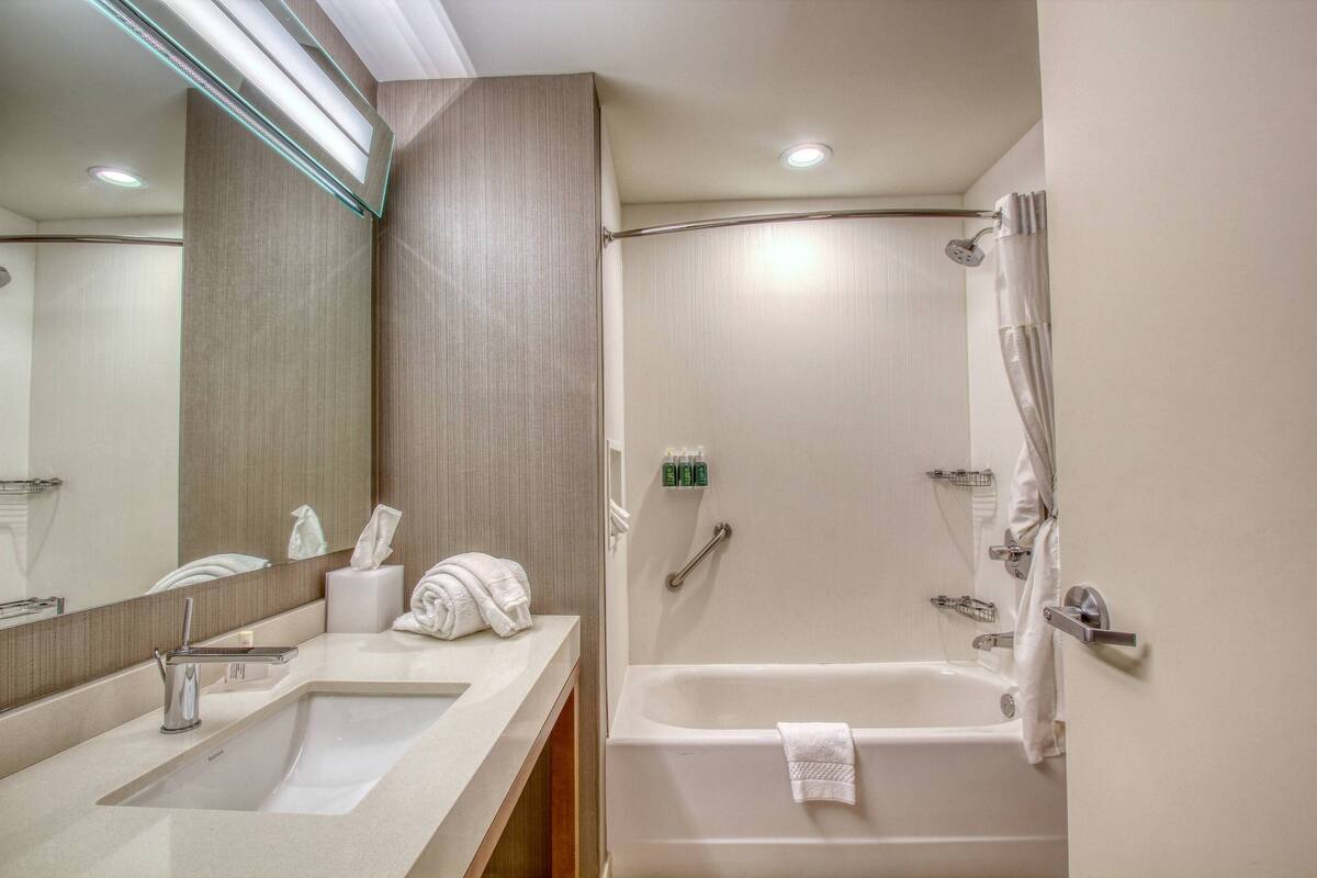 combined shower/bathtub, free toiletries, hair dryer, towels