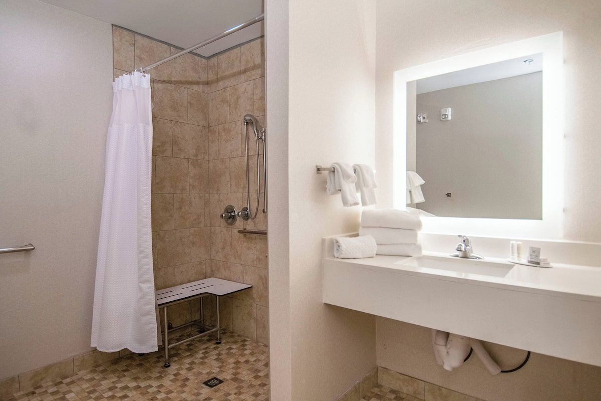 combined shower/bathtub, free toiletries, hair dryer
