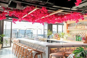 2 bares, bar en la azotea