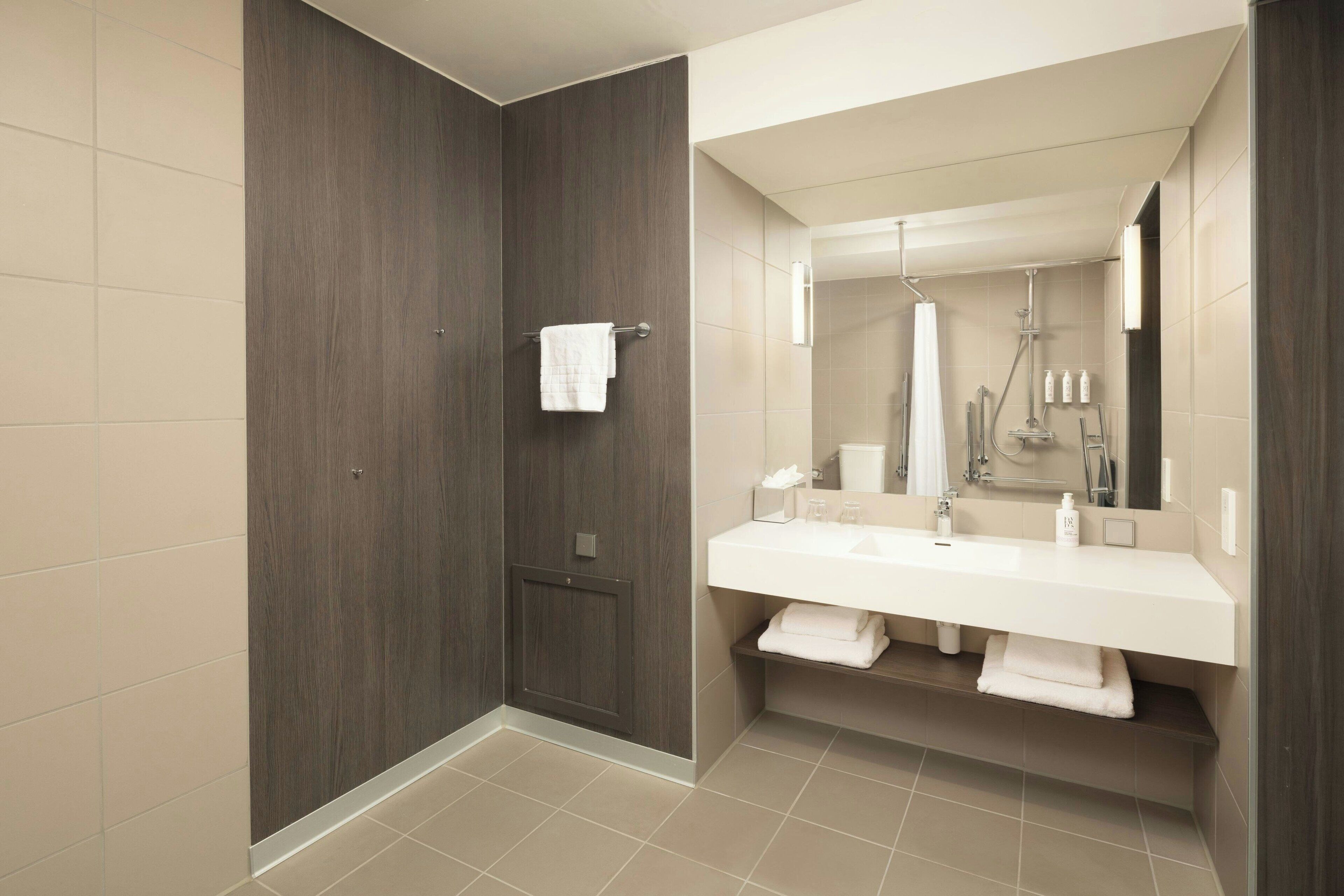 family room, 1 queen bed with sofa bed, non smoking | bathroom | shower, free toiletries, hair dryer, towels