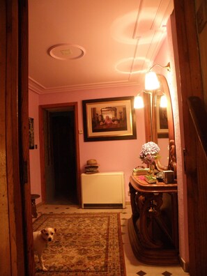 Fernseher, Bücher