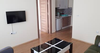 Luxury Home Aydın Gunluk Ev