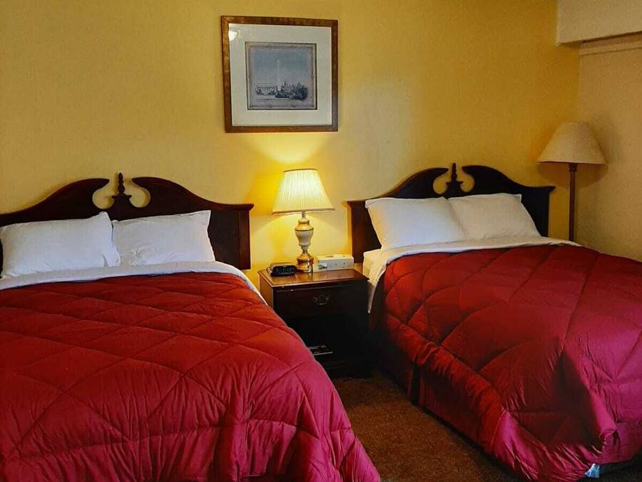 Standard Double Room, 2 Double Beds, Non Smoking | Living area | 32-inch LCD TV with digital channels, TV, printers