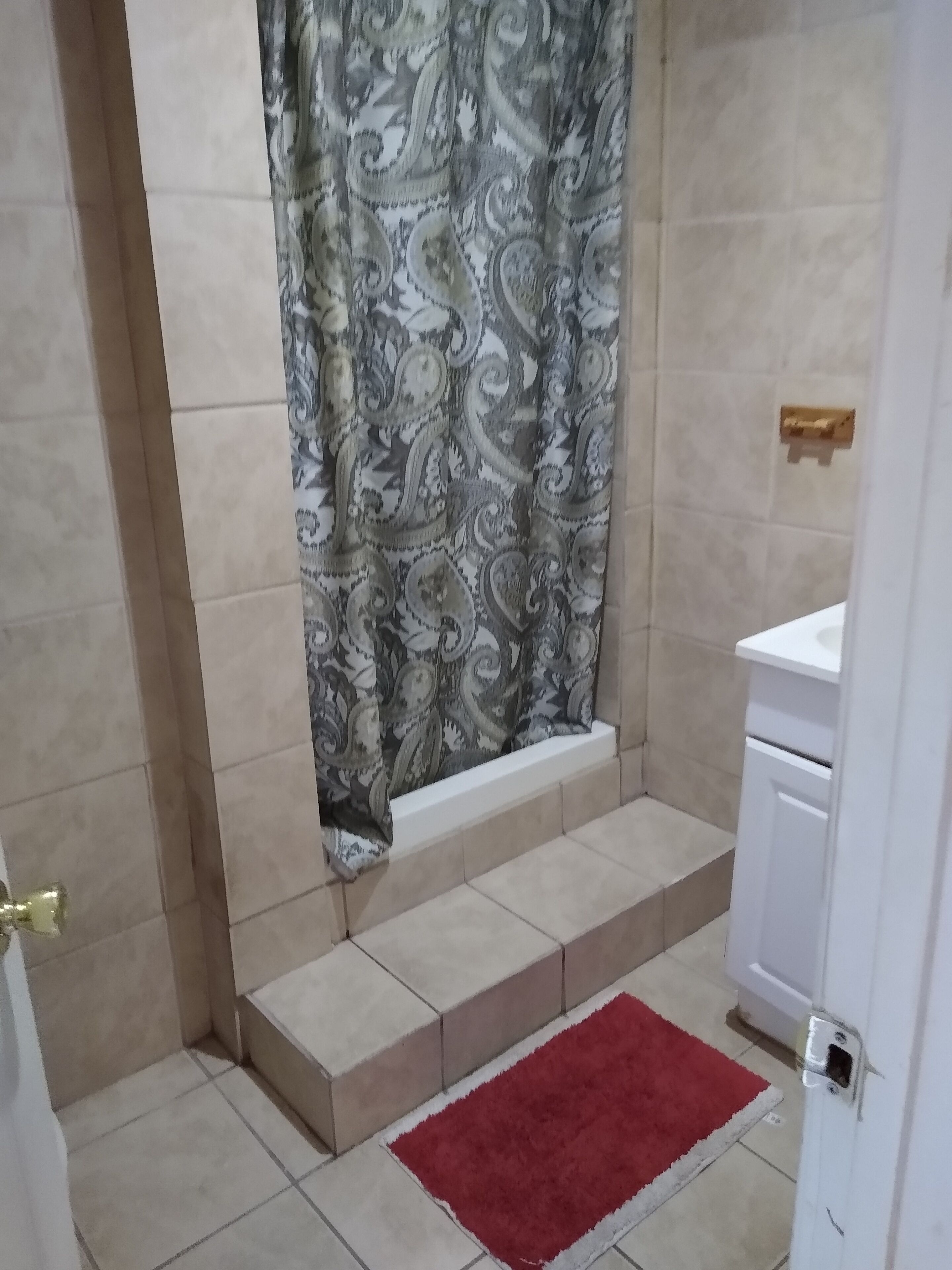 A bathroom with a shower, a red rug, and a white sink.