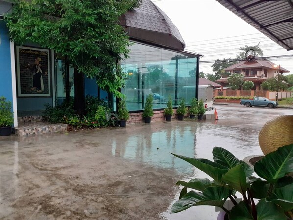 Un edificio con fachada de vidrio, rodeado de plantas en macetas y suelo mojado, lo que sugiere lluvia reciente.