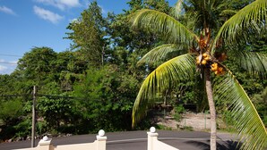 Property grounds - Home Confort (Praslin Island)
