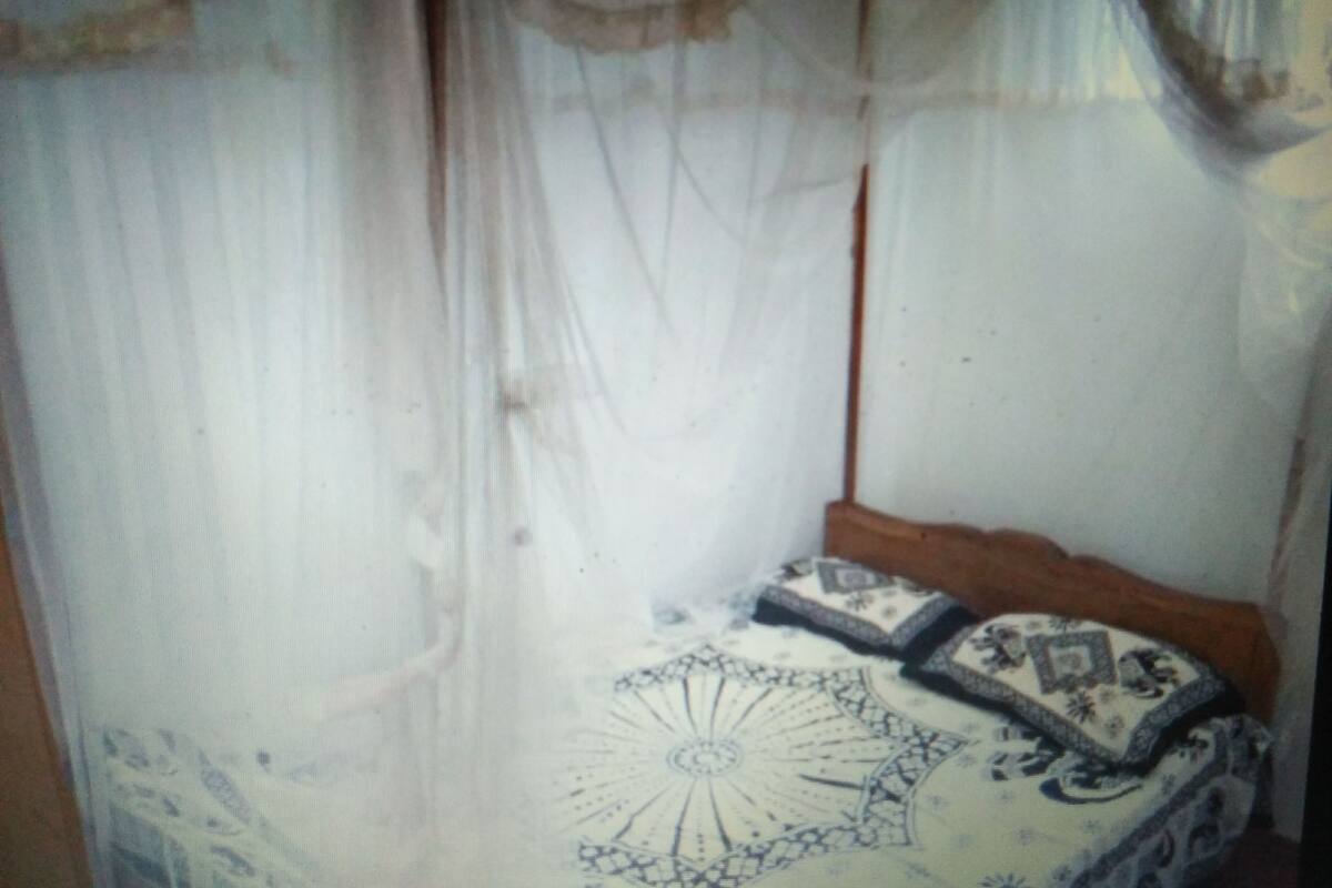 A room with a bed covered by a sheer white curtain, a patterned bedspread, and a wooden headboard.