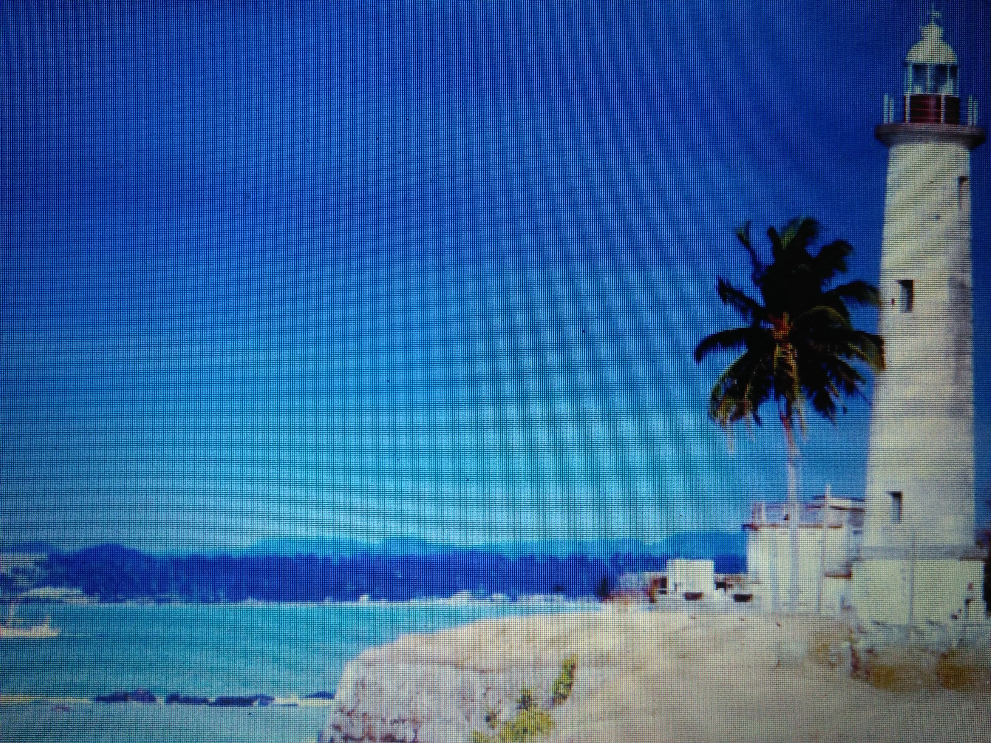 A lighthouse with a palm tree in the foreground, a clear blue sky, and a view of the ocean.