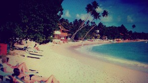A beach with palm trees and a building in the background. - White House (Unawatuna)