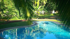 A swimming pool surrounded by lush greenery and palm trees. - King Coconut Lodge (Koggala)