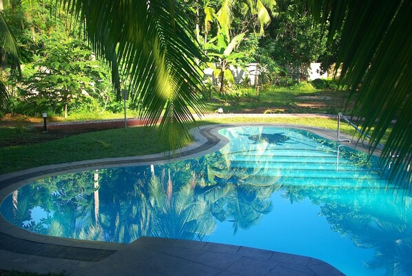 A swimming pool surrounded by lush greenery and palm trees.