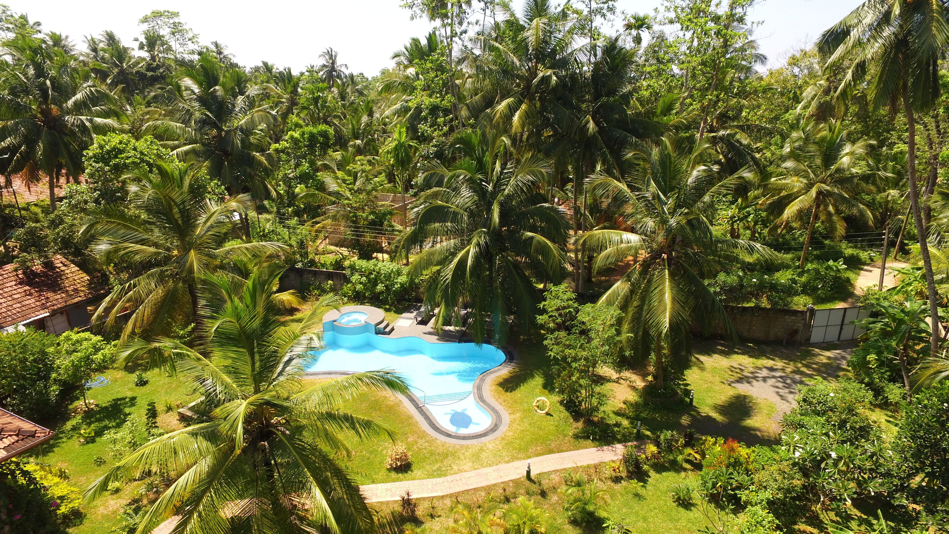 Una piscina rodeada de exuberante vegetación y palmeras.