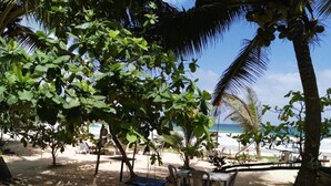 A beachside seating area with tables and chairs under palm trees, overlooking the ocean. - King Coconut Lodge (Koggala)