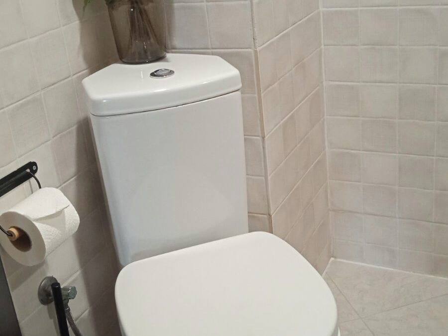 A toilet with a white lid, a roll of toilet paper, and a vase with flowers on the wall.