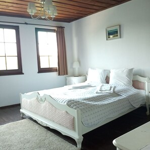 E-Panoramic Double Room, River View  | Individuelt dekorert, blendingsgardiner og strykejern/-brett