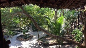 Deluxe Bungalow, 1 King Bed, Non Smoking | View from room - Kajibange bar and guesthouse (Nungwi)