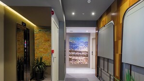Een moderne gang met een lift, een decoratieve wand en een potplant.