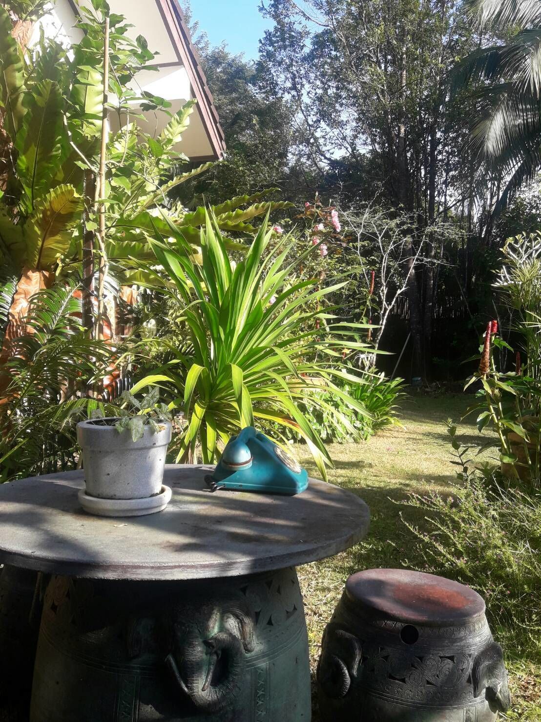 Un jardín con una mesa que incluye una planta en maceta, un teléfono antiguo y una maceta decorativa.
