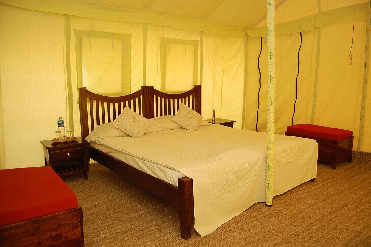 A single-bed room with a wooden headboard, a bedside table with a lamp, and a red bench.