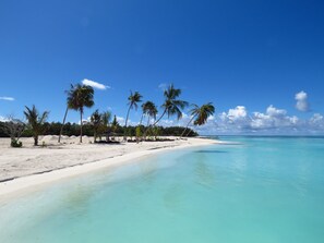 Una playa con arena blanca y agua turquesa cristalina. Se ven palmeras y un muelle de madera que se adentra en el agua.
