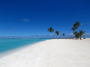 A beach with white sand and palm trees under a clear blue sky. - The Sunrise Huraa (Huraa)