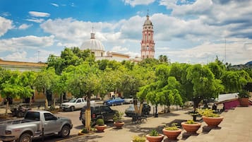 Vista desde la propiedad