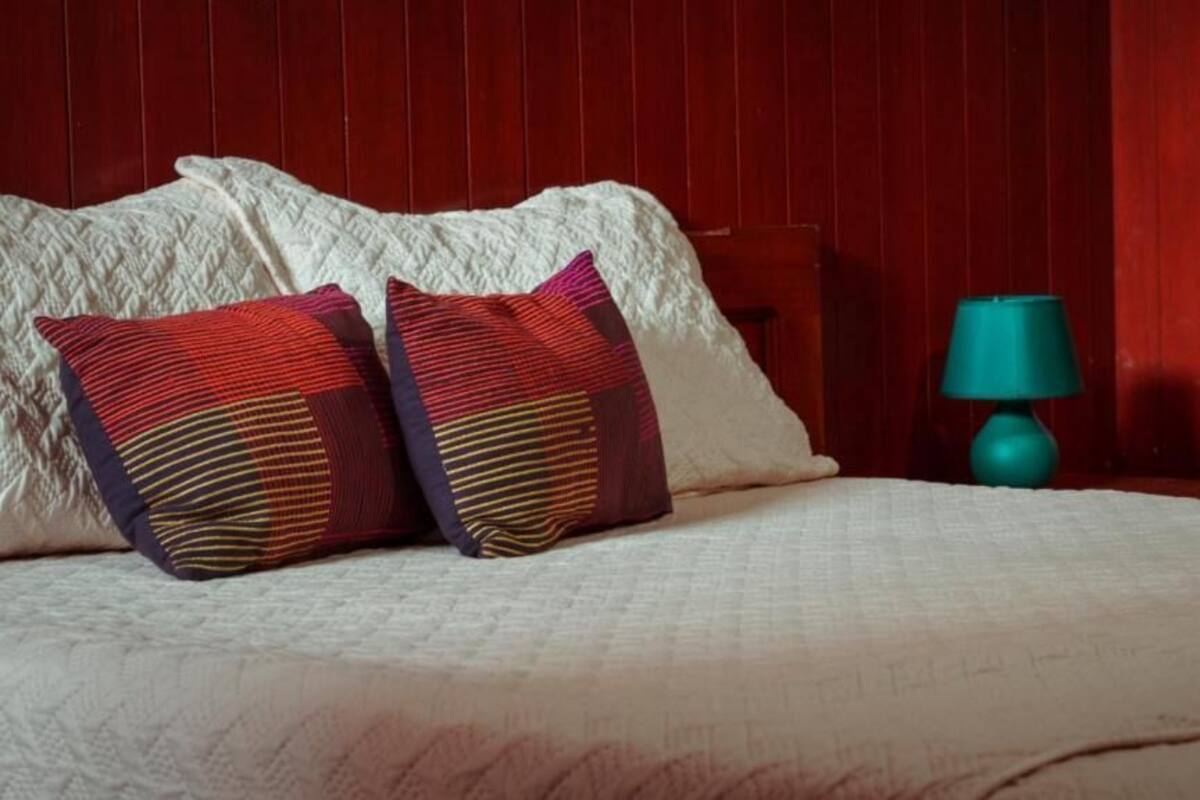 A bed with white bedding and two patterned pillows, a teal lamp on a wooden nightstand, and a red paneled wall.