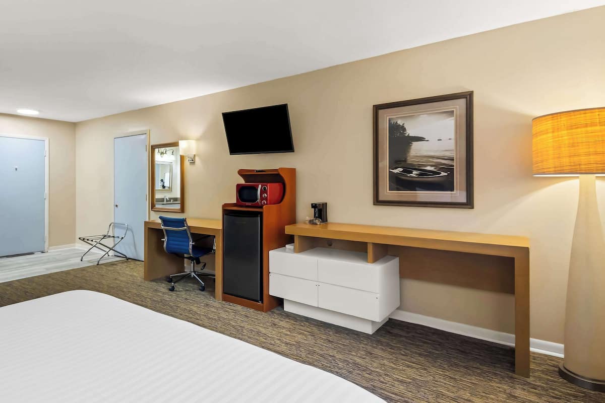 Standaard kamer, 1 kingsize bed, niet-roken | 1 slaapkamer, luxe beddengoed, een bureau, verduisterende gordijnen