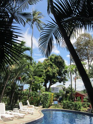 Outdoor pool, open 8:00 AM to 8:00 PM, sun loungers - Paraíso Escondido (Jacó)