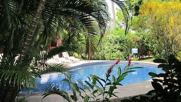 Outdoor pool, open 8:00 AM to 8:00 PM, pool loungers