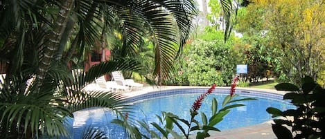 Una piscina al aire libre, sillones reclinables de piscina