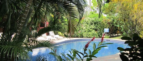 Outdoor pool, open 8:00 AM to 8:00 PM, pool loungers