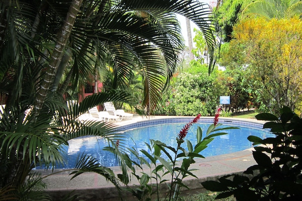 Outdoor pool, open 8:00 AM to 8:00 PM, sun loungers