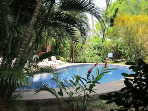 Outdoor pool, open 8:00 AM to 8:00 PM, sun loungers